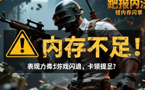 大逃杀报错内存怎么办？解决方法与优化技巧分享