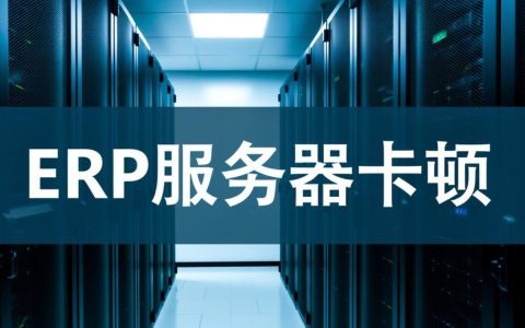 erp服务器卡顿是什么原因导致的？