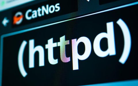 centos停止httpd服务后，如何彻底清除残留进程？