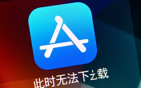苹果显示此时无法下载