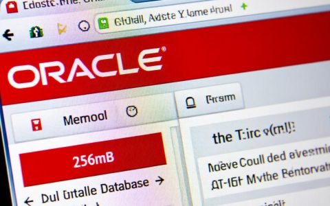centos安装oracle 256