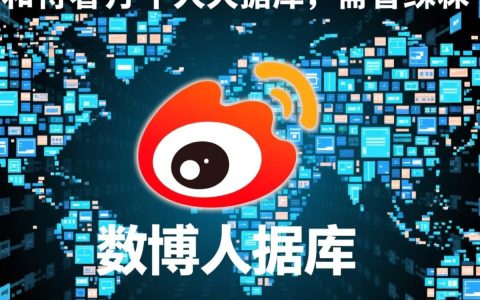 怎么看微博个人数据库
