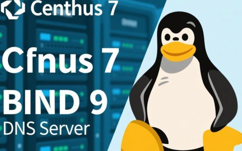 CentOS 7下安装配置Bind 9的详细步骤是怎样的？