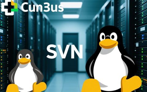 CentOS安装SVN需搭配httpd，具体步骤是怎样的？