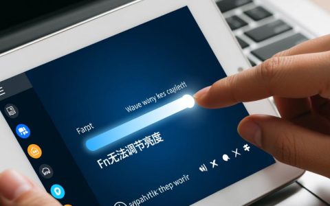 fn无法调节亮度调节