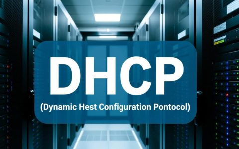 点 dhcp服务器