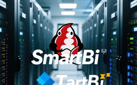 Smartbi服务器Tomcat如何配置优化提升性能？