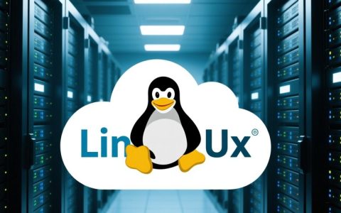 免费Linux服务器怎么选？新手小白搭建避坑指南？