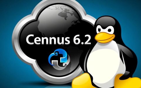 CentOS6.2系统优化有哪些关键步骤和注意事项？