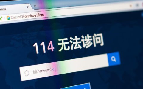 为什么会出现114无法访问错误要怎么解决？