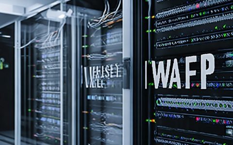 waf放行ip，如何设置与安全兼顾？