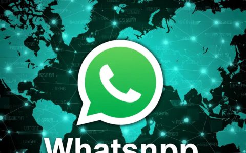WhatsApp服务器在中国能用吗？国内访问WhatsApp需要什么条件？