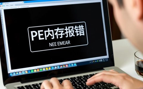 pe内存报错黑屏怎么办？进不去系统怎么解决？
