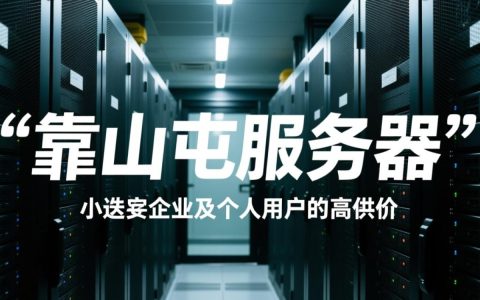 靠山屯服务器哪家好？性价比高的服务器怎么选？