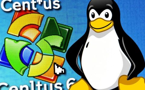 CentOS 6命令安装步骤详解与注意事项有哪些？
