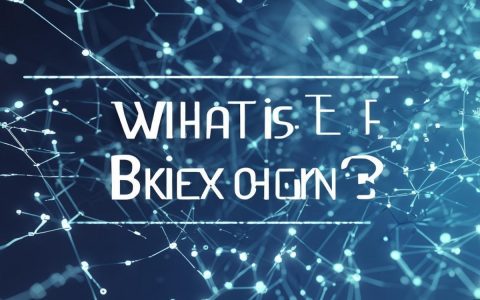 万向区块链究竟是什么？