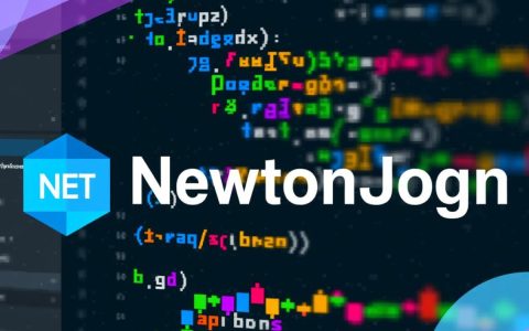 newtonjson parse报错函数如何解决常见解析异常问题？