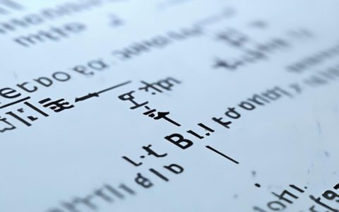 ASP如何用IP代码保护网页？