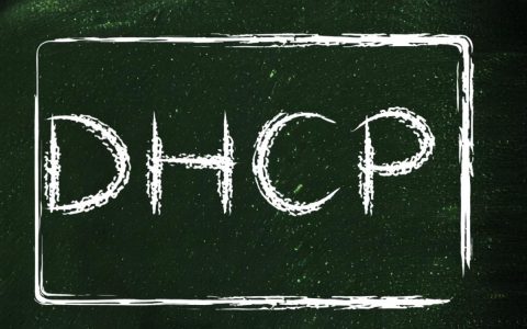 为什么需要禁用DHCP服务器？禁用后网络会怎样？