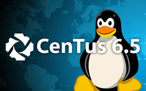 centos 6.5内存占用高怎么办？如何排查优化？