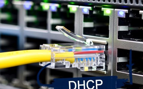 网线DHCP服务器怎么设置？家庭组网必备步骤是什么？