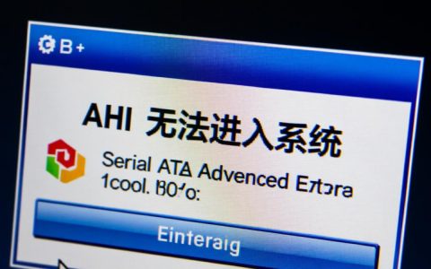 ahci无法进入系统怎么办？bios里改了ahci进系统就蓝屏咋办？