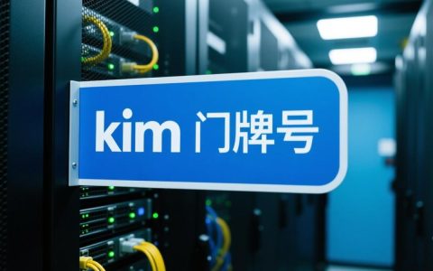 如何获取并正确使用kim服务器的真实地址？