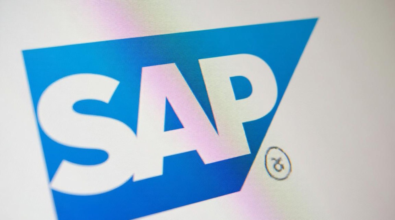 sap 请求号报错是什么原因导致的? sap 请求号报错是什么原因导致的?