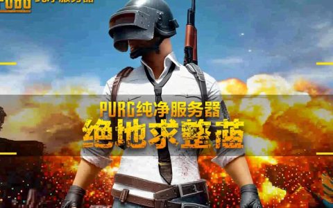 PUBG纯净服务器怎么开？纯净服规则和普通服有啥区别？