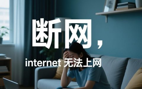 为什么internet显示已连接却无法上网？