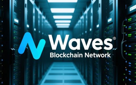 waves官方服务器怎么搭建与维护？