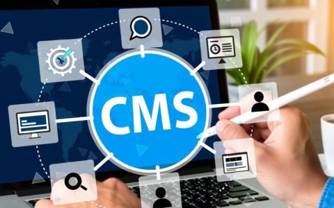 新手必看！2025年好用的CMS网站系统有哪些？