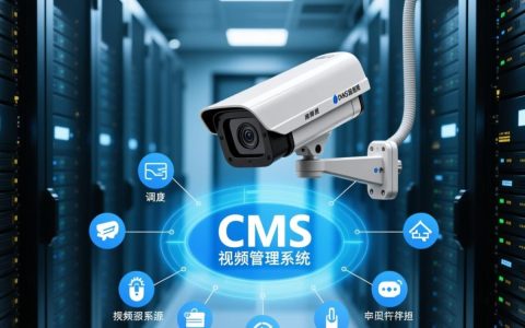 海康CMS服务器存在哪些安全漏洞？如何有效防护？