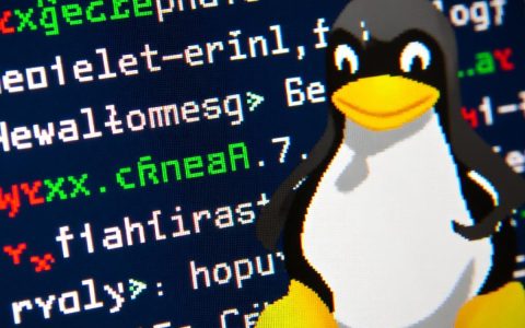 CentOS7下Go环境配置常见问题有哪些？