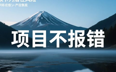 项目不报错但功能不正常，是哪里出问题了？