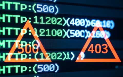 500和403报错是什么原因？如何解决？