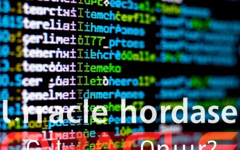 oracle怎么循环更新数据库