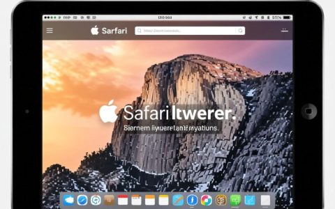 iPad的Safari无法使用怎么办？解决方法有哪些？