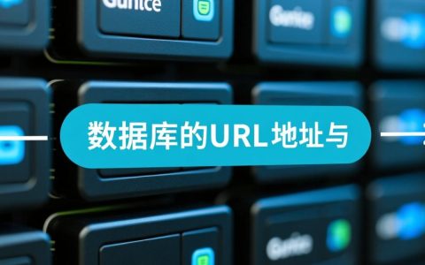 怎么查看数据库的url地址