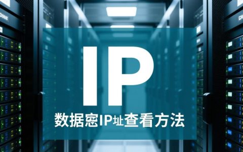 怎么看数据库的ip