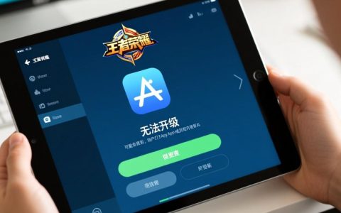 王者荣耀iPad无法更新怎么办？30字解决方法