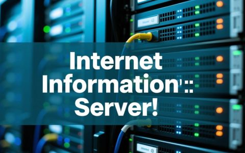 Internet信息服务器如何配置与优化提升性能？