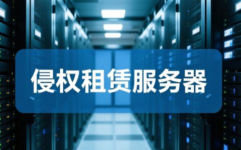 侵权租赁服务器会面临哪些法律风险？