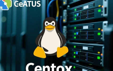 CentOS用yum安装Pureftpd报错怎么办？