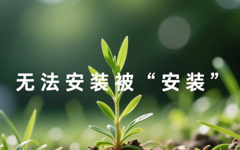 小草无法安装