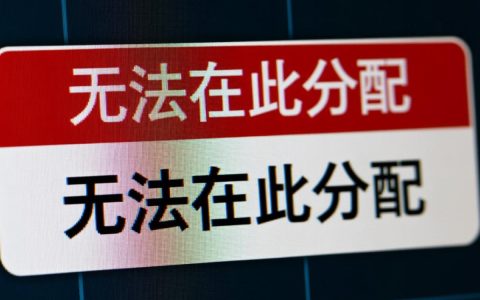 无法在此分配
