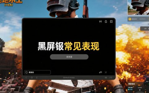 吃鸡黑屏报错