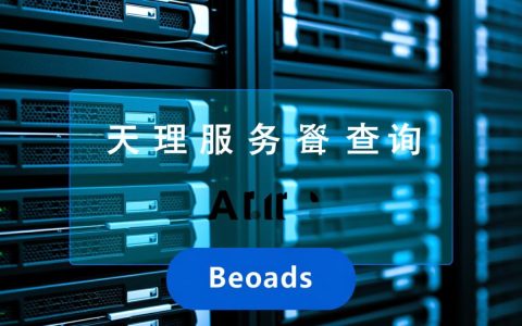 天理服务器查询