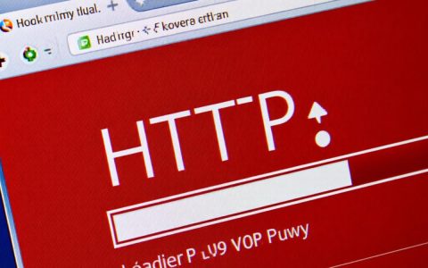 http403报错