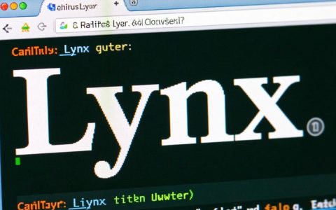 CentOS系统下安装lynx浏览器，有哪些具体步骤和注意事项？